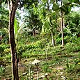 ILE DE PHU QUOC