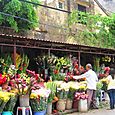 MARCHE DE FLEURS